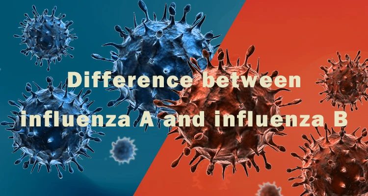 Difference between influenza A and influenza B